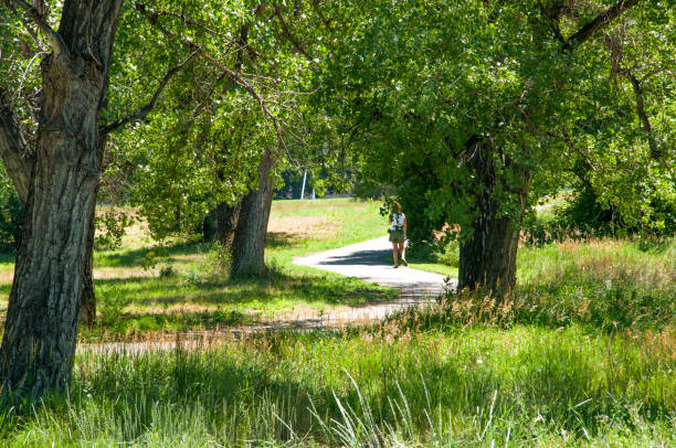 istock A bike and walking trail though a park 1183500339