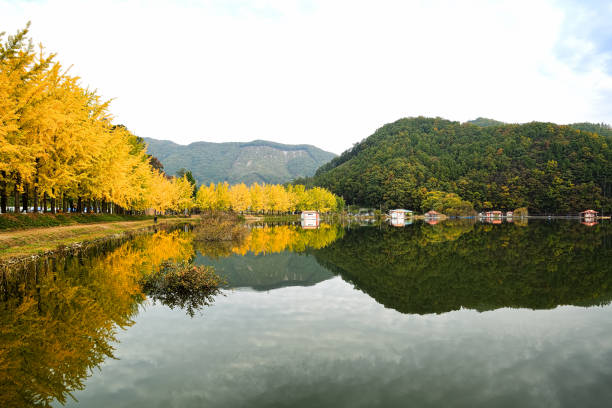 istock Autumn Reservoir Morning VD702 1183503104