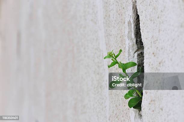 Survival Stock Photo - Download Image Now - Adversity, Challenge, City