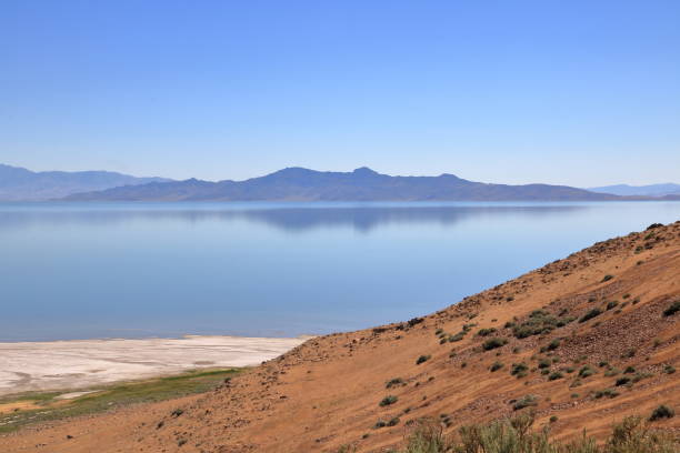 istock Reflections of Silver Island Mountains, Antelope Island, Utah 1183508290