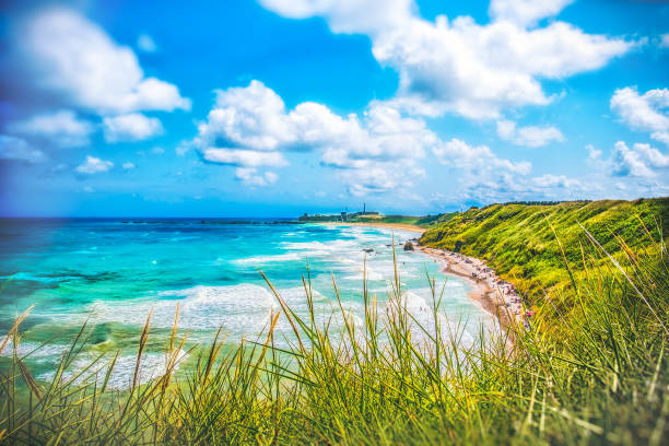 Colorful seascape of Italy - Abruzzo - Vasto - Punta Aderci and Libertini beach with wild grass Colorful seascape of Italy - Abruzzo - Vasto - Punta Aderci and Libertini beach with wild grass . chieti stock pictures, royalty-free photos & images