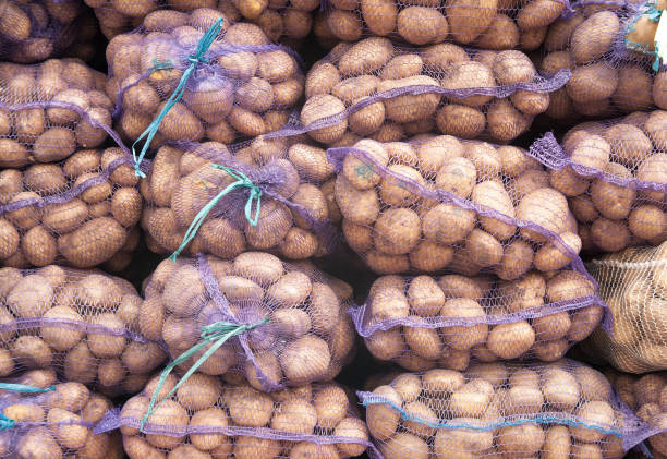 batatas no solo - red potato raw potato market red - fotografias e filmes do acervo
