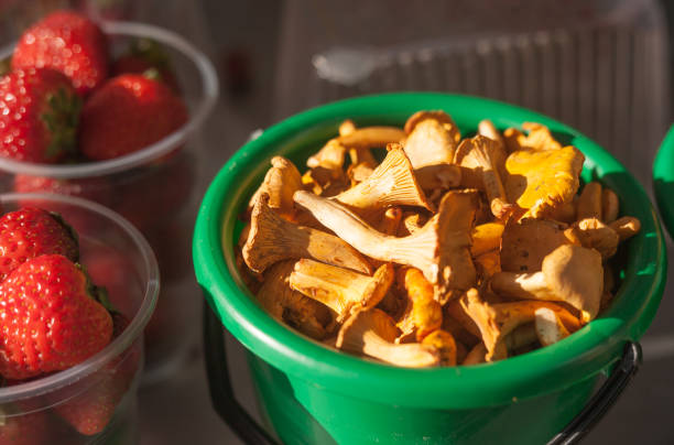 ripe chanterelle mushrooms in a green bucket next to ripe strawberries in a glass on the organic market