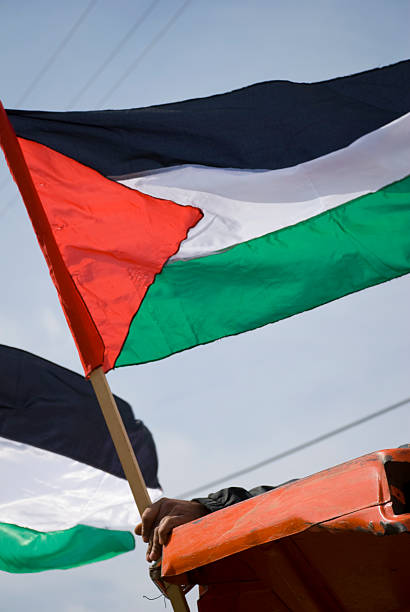 A Palestinian man holds the Palestinian flag while driving a tractor in the West Bank village of Bil'in.