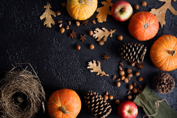 istock Autumn frame of pumpkins, tree leaves, hazelnuts on a black textural background. Autumn, fall, thanksgiving concept. Flat lay, copy space. 1183516249