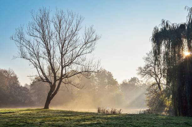 istock Beautiful colorful morning landscape. 1183517334