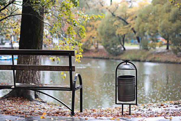 Autumn rain in the park during the day