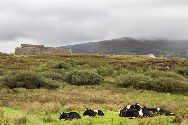 istock Ring Of Kerry 1183517938