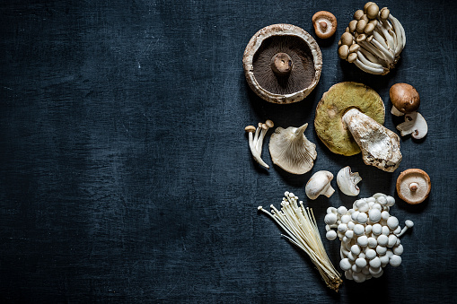 Top view of various kinds of edible mushrooms like champignon, shiitake mushroom, porcini mushroom, oyster mushroom, portobello mushroom, cremini mushroom, enoki mushroom and clamshell mushroom on a dark grey blackboard arranged at the right side of the image leaving a useful copy space at the left side. Low key DSLR photo taken with Canon EOS 6D Mark II and Canon EF 24-105 mm f/4L