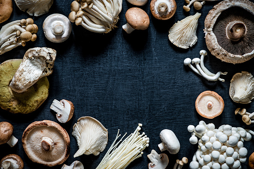 Top view of various kinds of edible mushrooms like champignon, shiitake mushroom, porcini mushroom, oyster mushroom, portobello mushroom, cremini mushroom, enoki mushroom and clamshell mushroom on a dark grey blackboard arranged on a frame shape with copy space at the center of the image. Low key DSLR photo taken with Canon EOS 6D Mark II and Canon EF 24-105 mm f/4L