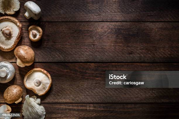 Various Kinds Of Edible Mushrooms With Copy Space Stock Photo - Download Image Now - Mushroom, Edible Mushroom, Shiitake Mushroom