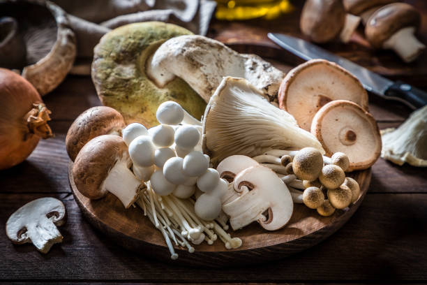 istock Various kinds of edible mushrooms 1183522434