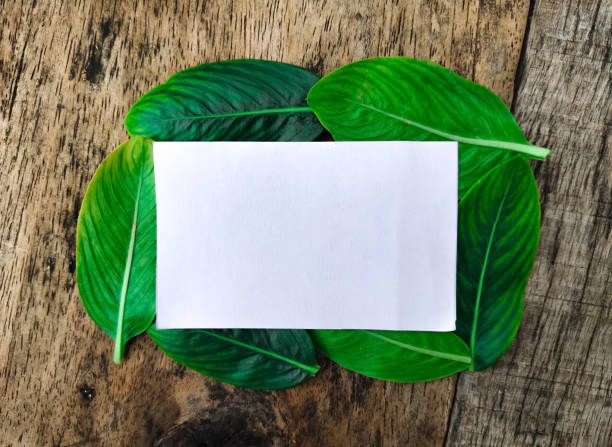 istock Top view of blank paper on wood table 1183523165
