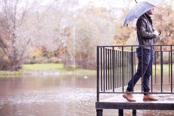 istock Autumn rainy park in October 1183524986
