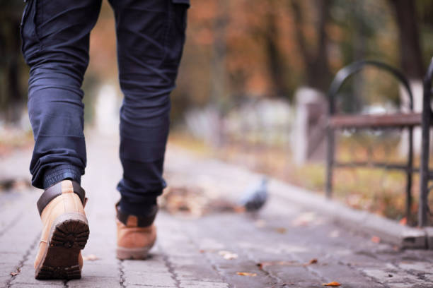 istock Autumn rainy park in October 1183525743