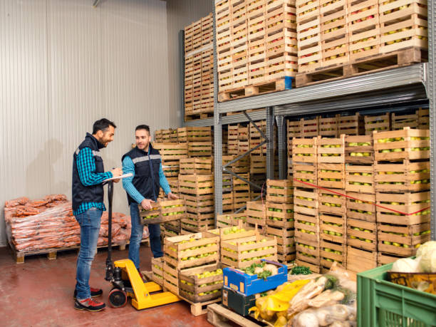 istock Fresh fruits and vegetables in warehouse 1183529985