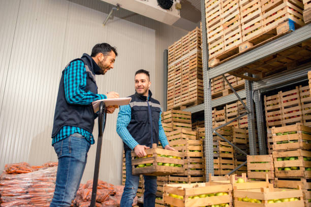 istock Fresh fruits and vegetables in warehouse 1183530880