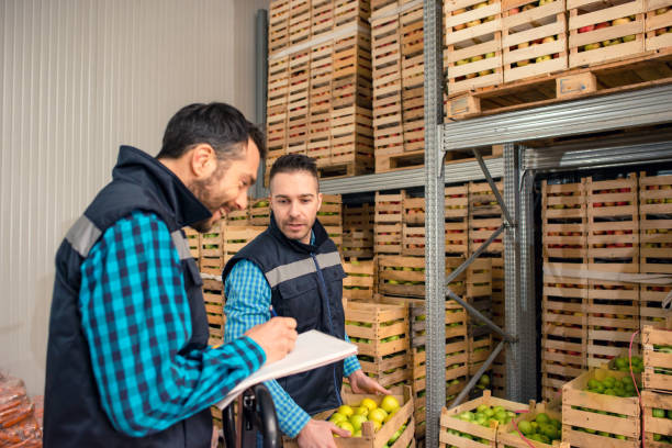 istock Fresh fruits and vegetables in warehouse 1183531959