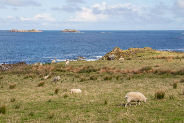 istock inishowen ireland 1183533264