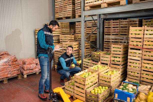 istock Fresh fruits and vegetables in warehouse 1183533420