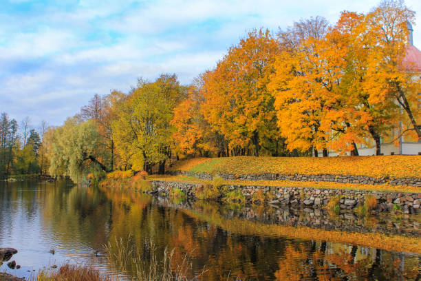 istock autumn landscape. trees with yellowed leaves. time for walks 1183533452