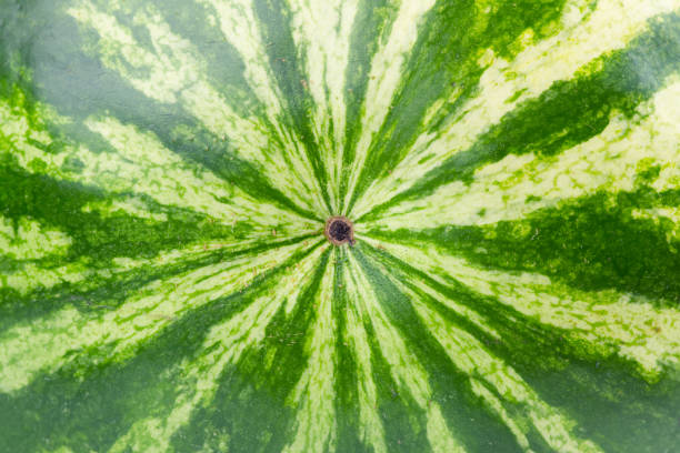 istock Ripe fresh watermelon. Watermelon background 1183533570
