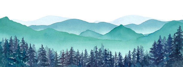 illustrazioni stock, clip art, cartoni animati e icone di tendenza di paesaggio di montagne nebbiose e illustrazione dell'acquerello della foresta di conifere - panoramic landscape illustration and painting tree