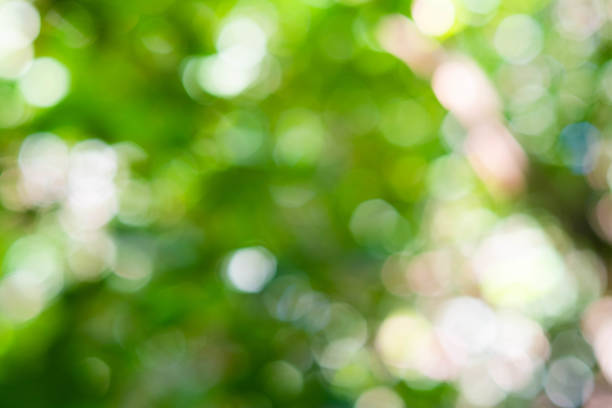 istock Green bokeh on nature defocus abstract blur background 1183534388
