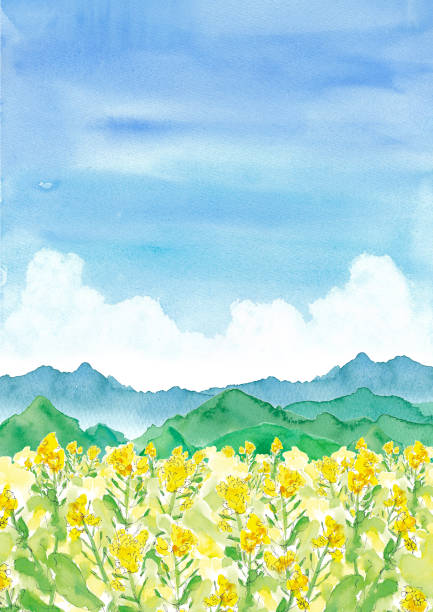 istock Watercolor illustration of rape field and mountains and blue sky and clouds 1183534418