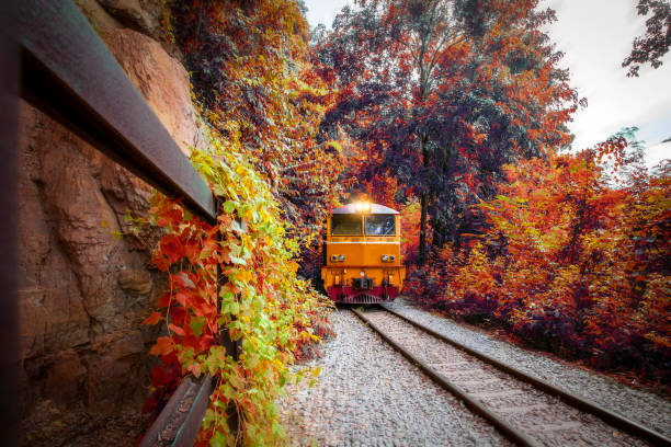 Photo of Procession train diesel electric locomotives moving on mountain at curve and sail through rail chopper with beautiful autumn forest view