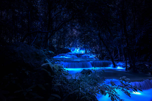 Beautiful waterfall nature scenery of colorful at a night deep tropical fantasy jungle stock photo