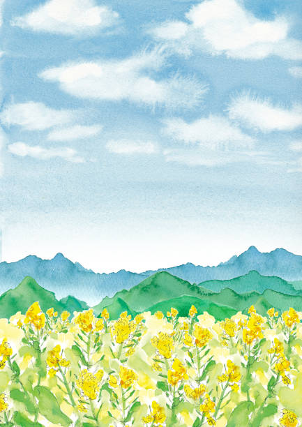 istock Watercolor illustration of rape field and mountains and blue sky and clouds 1183534496