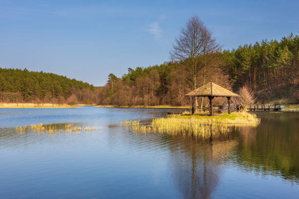 istock Small lake surrounded by forest, Dywan, Poland. 1183534616