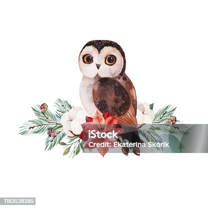 istock Lovely winter bouquet with leaves,branches,berries,holly,poinsettia and cute little owl 1183538385