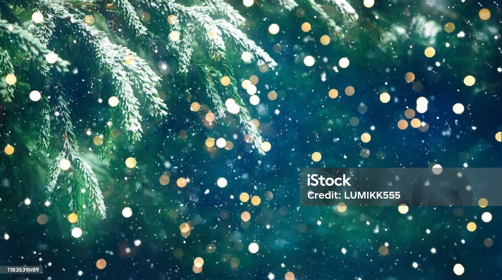 Fondo de Navidad con abeto fresco - Foto de stock de Navidad libre de derechos