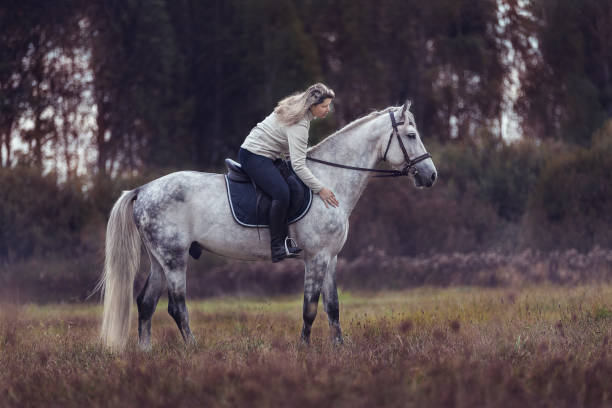 istock Beautiful young lady with a purebred arabian stallion 1183539548