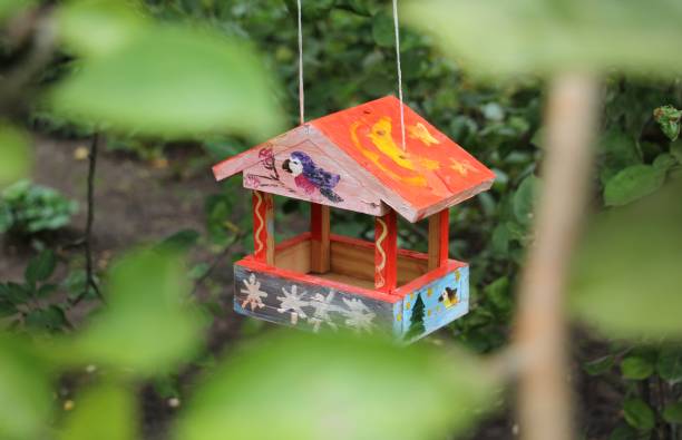 istock a bird feeder in the Apple orchard 1183540352