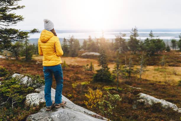 mujer viajera con chaqueta amarilla de caminata trasera en el bosque de otoño en finlandia laponia. - saco fotografías e imágenes de stock