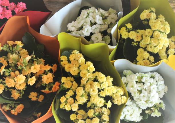 istock Florist Shop Photo 1183547724