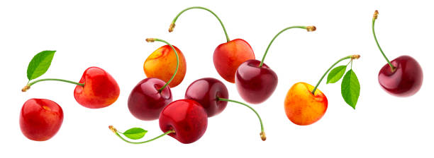 istock Cherry isolated on white background with clipping path 1183547796