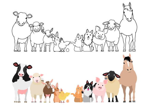 Farm Animals In A Row Paws Around Shoulders Each Other Stock Illustration - Download Image Now - iStock Farm Animals In A Row Paws Around Shoulders Each Other Stock Illustration - Download Image Now - iStock
