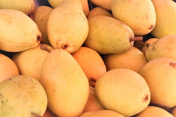 istock Background of Many Pear Photo 1183549731