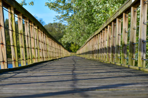 istock Walking over the Lake 1183551104