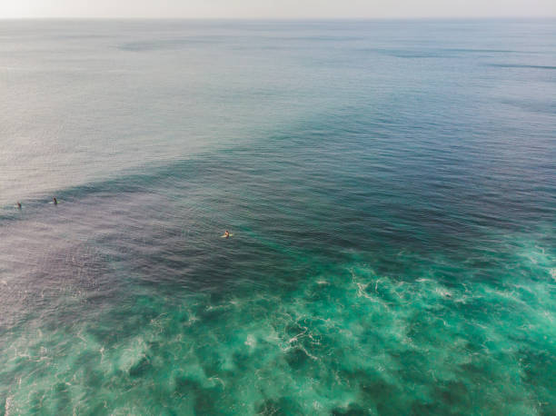 Surfers on the waves in the ocean, top view.