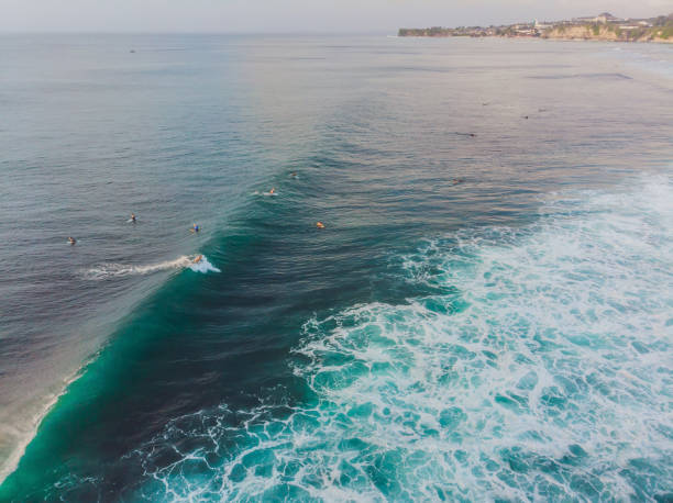 istock Surfers on the waves in the ocean, top view 1183555233