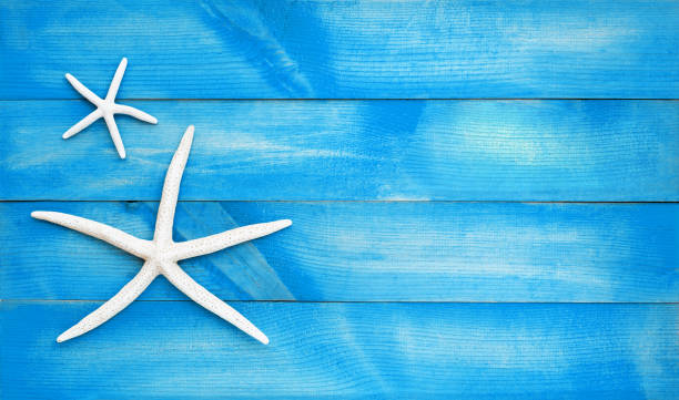istock Two starfish on blue wooden background. Top view 1183555857