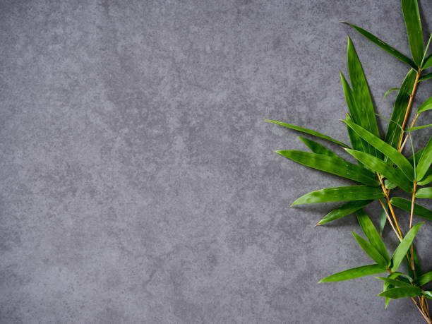 istock Spa background design with green bamboo leaves. 1183557773