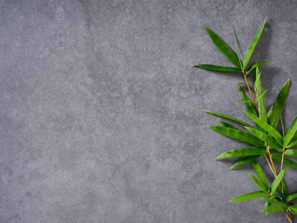 istock Spa background design with green bamboo leaves. 1183557784