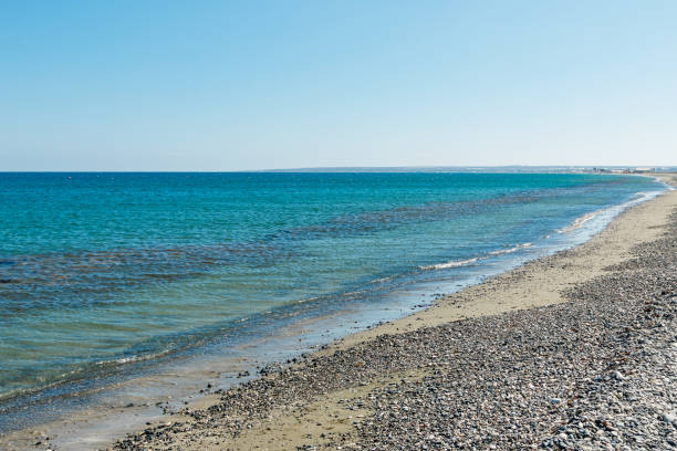 istock Lady's Mile beach 1183557851