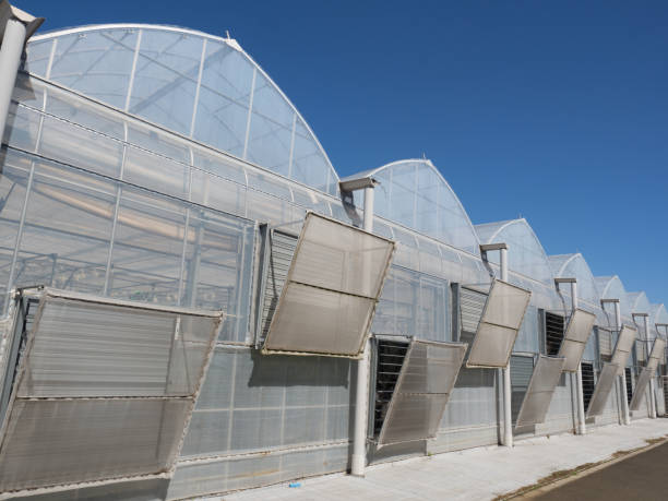istock Vegetable factory greenhouse 1183558675